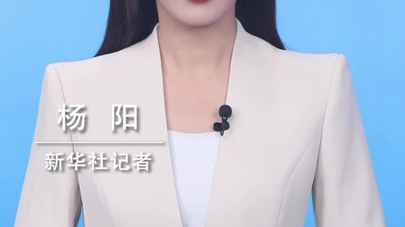 低代码平台：企业数字化转型的新引擎